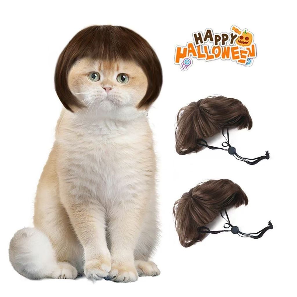 Peruca de Moda para Cães e Gatos | Acessório Divertido para Pets | Fantasia de Halloween e Festas em Oferta na Shopee