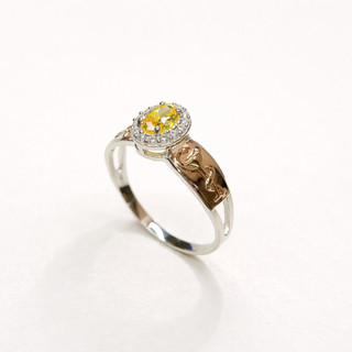 Anel Formatura Feminino Prata 950 Ouro 18K 750 / Anel De Formatura Prata 950 - Todos Cursos 08