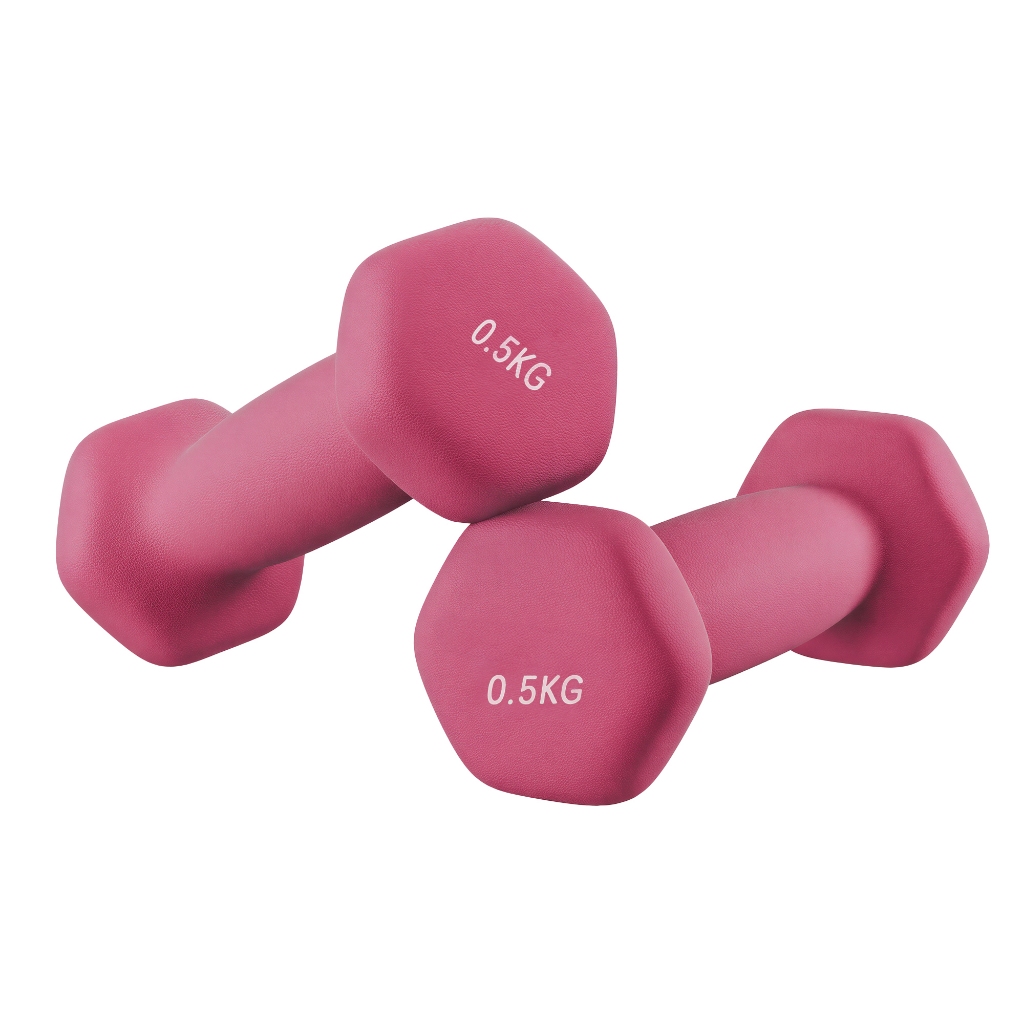 Imagem SONGMICS Par de Pesos Livres, Halteres Hexagonais com Revestimento de Neoprene, Exercícios em Casa, 2x0,5kg