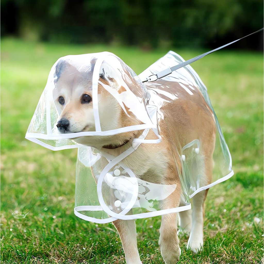 Capa de Chuva Transparente Impermeável para Cães Pequenos | Jaqueta Pet Ao Ar Livre