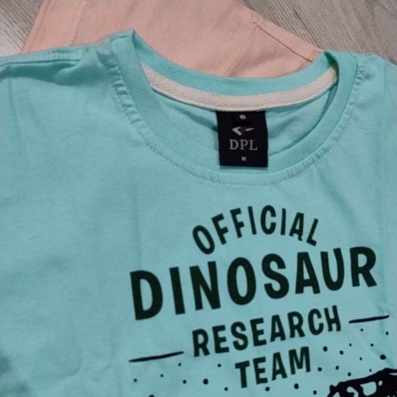 camiseta Infantil masculina infantil manga curta para  menino estampa Dinossauro Jurassic Tamanho 1 ao 8