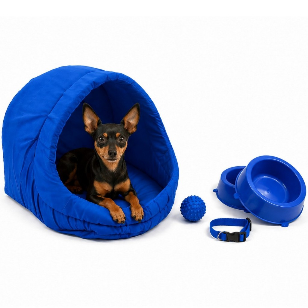 Kit Cama Toca Iglu Pet Médio com Comedouro Coleira Bolinha Fofos