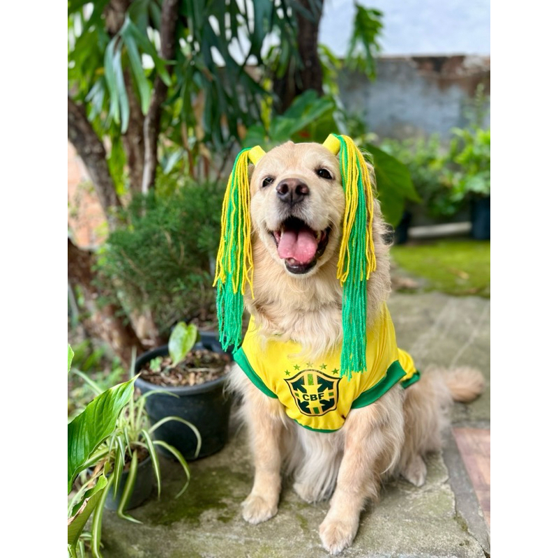 Tiara Brasil Pet - Copa do Mundo Pet - Fantasia Pet