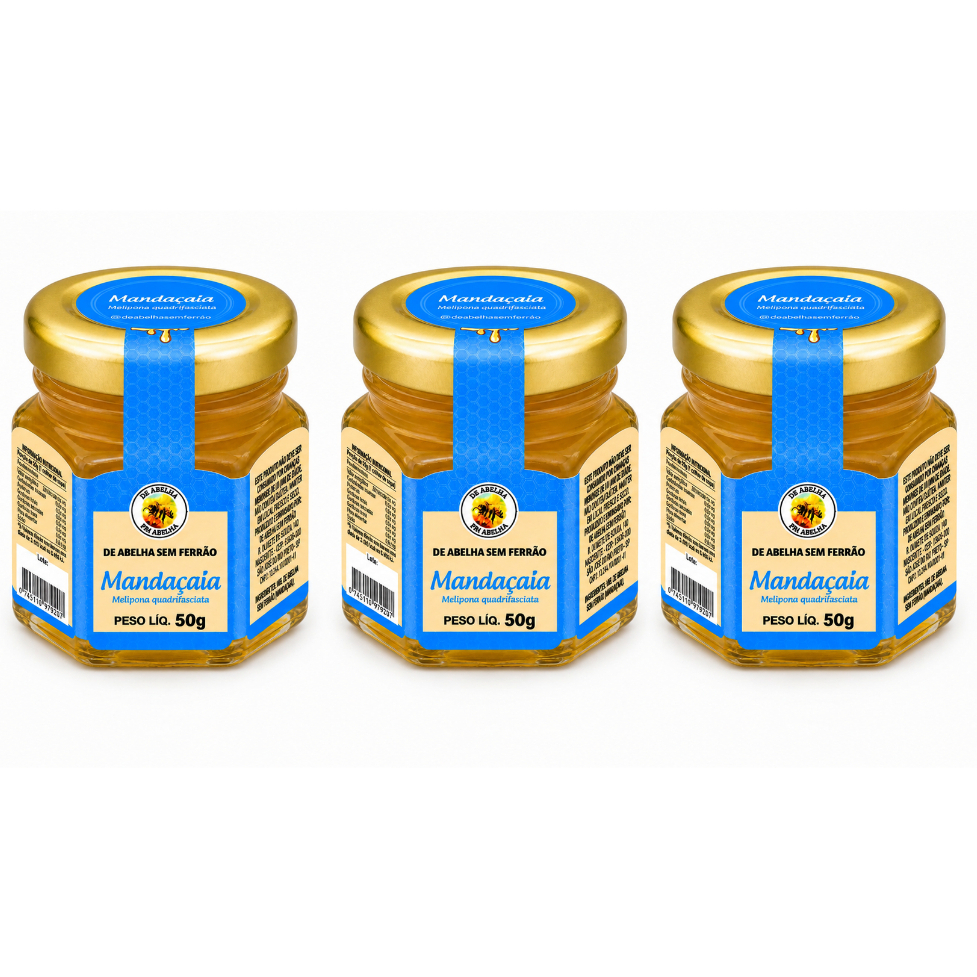 Mel Mandaçaia 50g Ouro Líquido 3un De Abelha Em Abelha