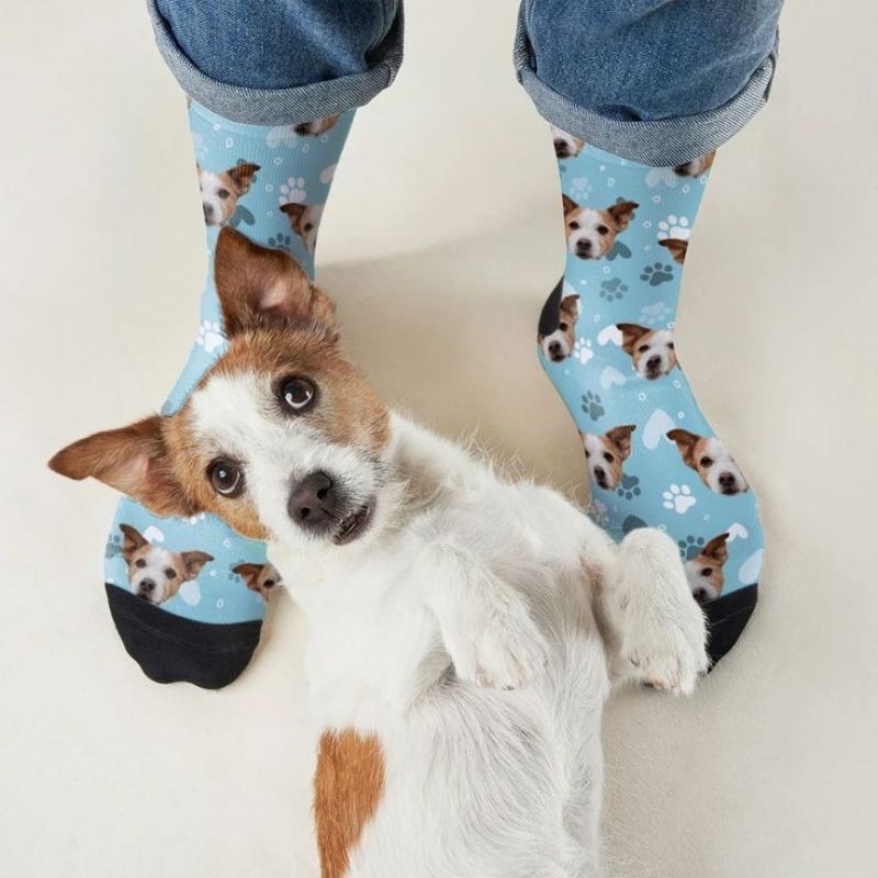 Meia Personalizada com a foto do seu Pet. A sua diversão começa aqui!