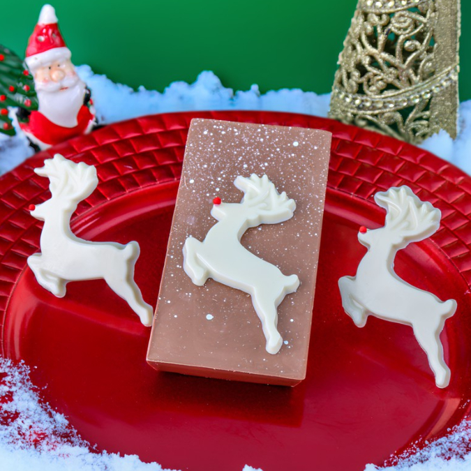 1~10 FORMAS BWB SIMPLES APLIQUES RENA NATAL 10598 (BWB NATAL 2025)(CHOCO) · foto 2