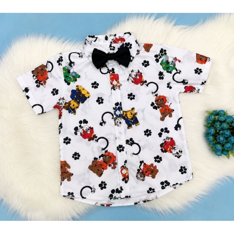 Camisa social patrulha canina Tam 6 meses a 1 anos, 1.2 anos e 2.3 anos ruble e sua turma