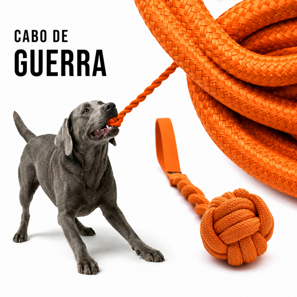 CABO DE GUERRA BRINQUEDO INTERATIVO CÃES CACHORRO TREINAMENTO RESISTENTE PUXAR
