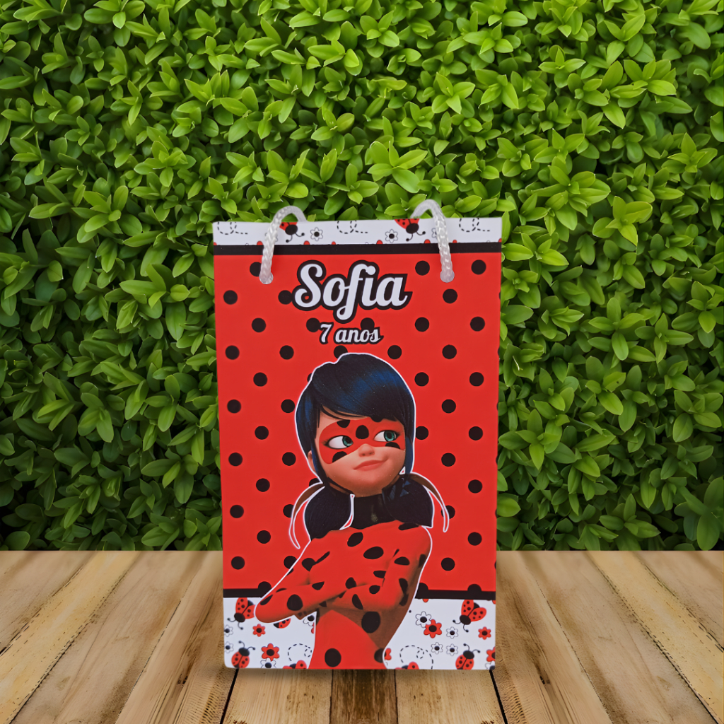 Sacolinha Surpresa Personalizada LADYBUG - Lembrancinha para Festa (PEGUE E MONTE)