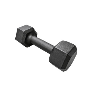 Halter Sextavado Pintado 6 a 10 Kg Unidade Treino em Casa Musculação Academia Fitness Funcional