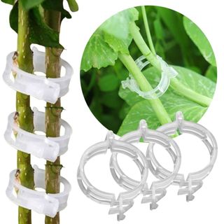 Kit 300 Clips Tutoramento de Tomate Branco Suporte Para Planta Plantio Trepadeira Atacado