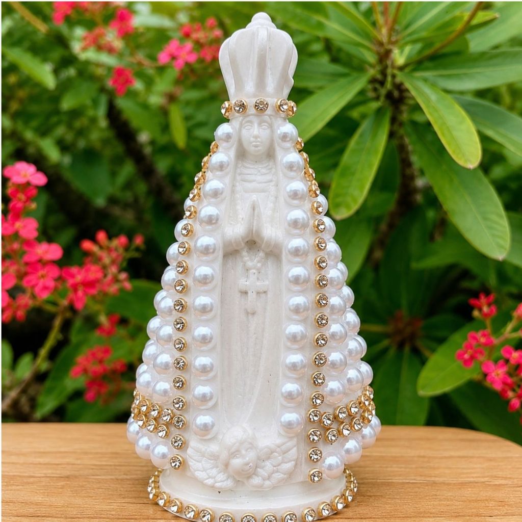 Kit 12 Imagens Nossa Senhora Aparecida