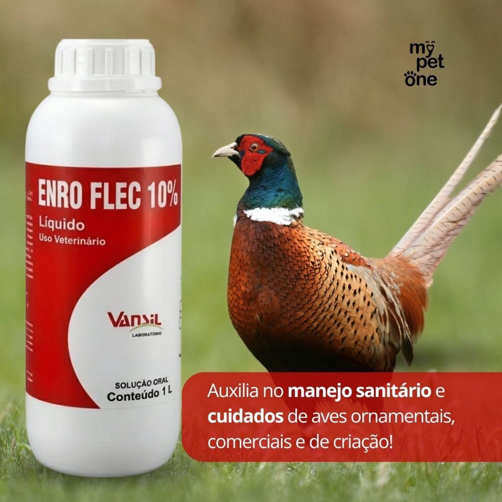 EnroFlec 10% 1 Litro Enrofloxacino Oral Vansil — imagem 2 de 2