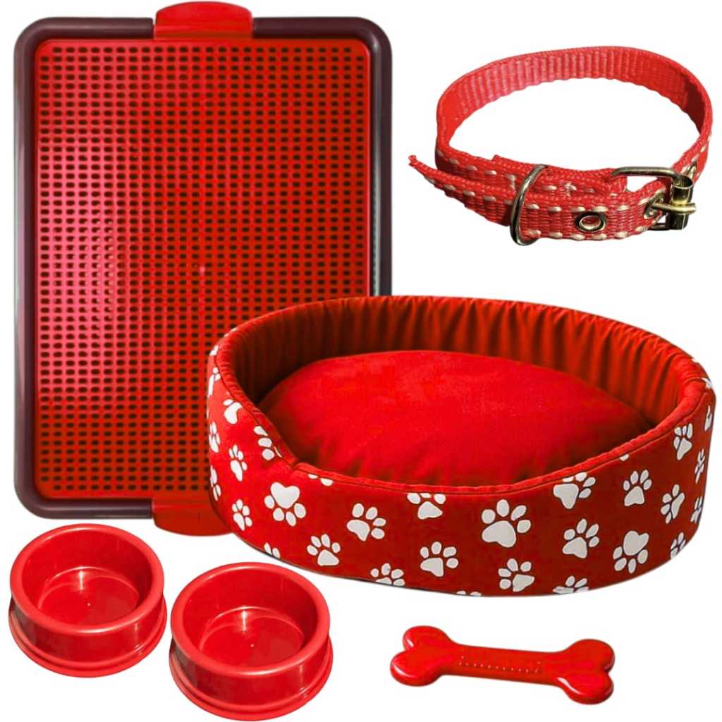 Kit Para Pet Coleira De Pescoço Sanitário Caminha Para Cachorro Pequeno
