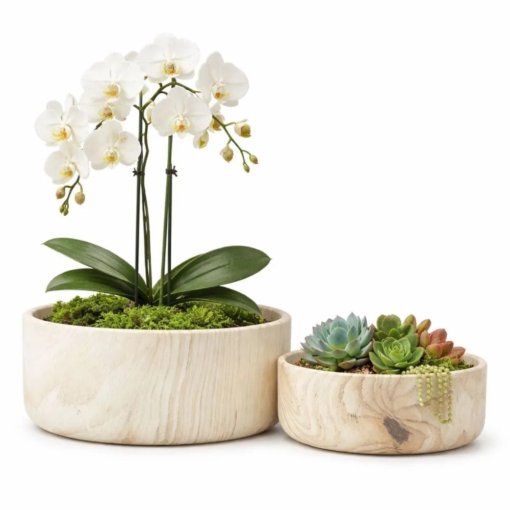 Kit 2 Vasos Bacia Linha Genebra Cachepot Para Decoração