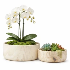 Kit 2 Vasos Bacia Linha Genebra Cachepot Para Decoração