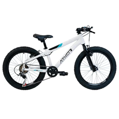 Bicicleta Infantil Athor Brave Aro 20 7V