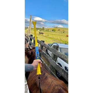 Ferrão Eletrônico Recarregável 65cm  Manejo Bovino Suíno Bivolt em Oferta na Shopee