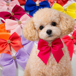 Kit 80 gargantilha fêmea , gargantilha banho e tosa. laçarote pescoço fêmea. em Oferta na Shopee