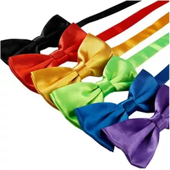 Gravata Borboleta Linda com Regulador Ajustável – Elegante para Festas, Casamento Adulto