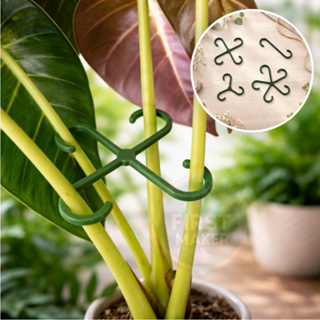 Kit com 6 ou 12 Grampos Ganchos Tamanho Pequeno para Plantas Amarração Resistente para caule em Oferta na Shopee
