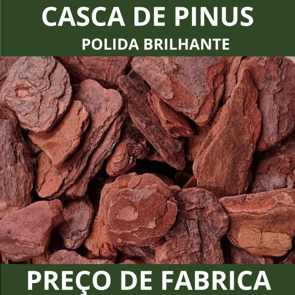 Casca De Pinus Polida Natural - Selecionadas Jardinagem Decoração de Plantas Saco 3, 10, 20 litros