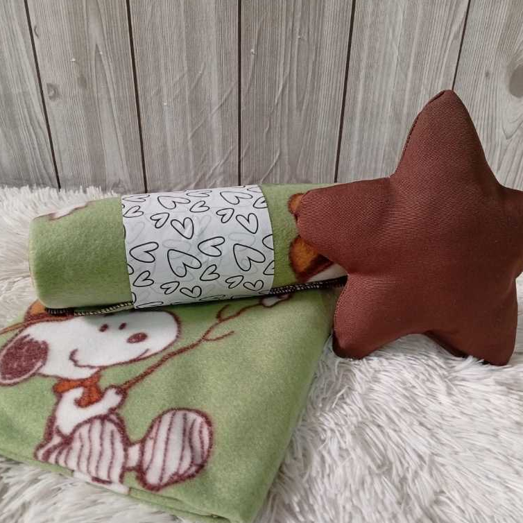 Manta Pet Snoopy Verde Mantinha Microfibra Cobertor Para Cachorro Gato 70x90cm
