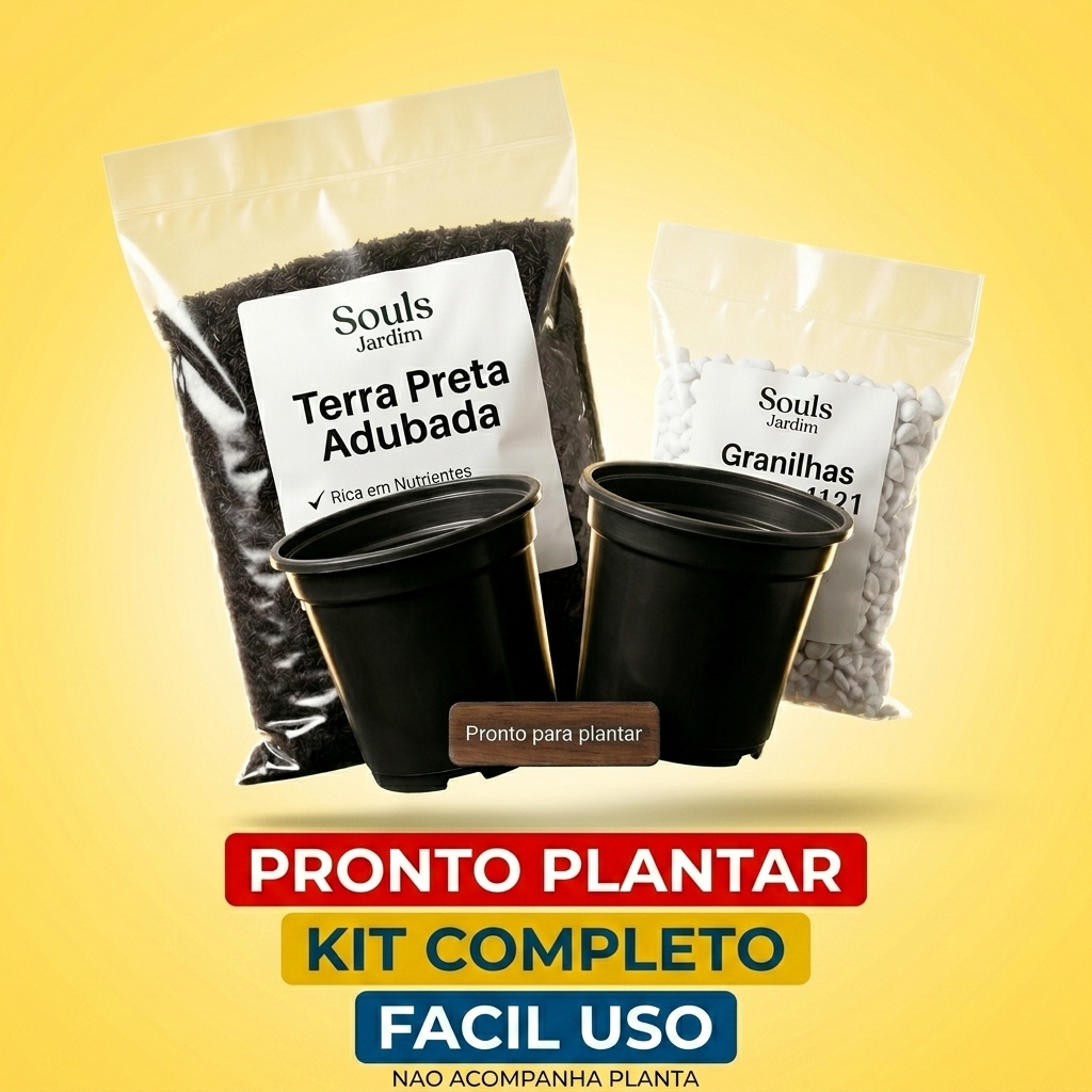 Kit Completo Para Plantio Vaso + Terra Adubada + Granilha Branca Decorativa