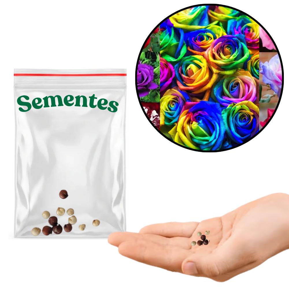 Sementes S5 De Rosa Flor Arco-iris Exótica Rara Para mudas Coloridas Exóticas Clima Jardim