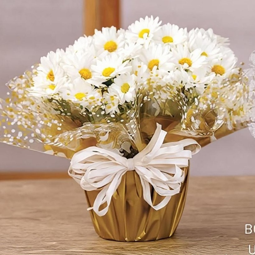 Fundo para cesta poli redondo 48x48cm 25 10 folhas decorado cesta, buquet, presente mães namorados amor