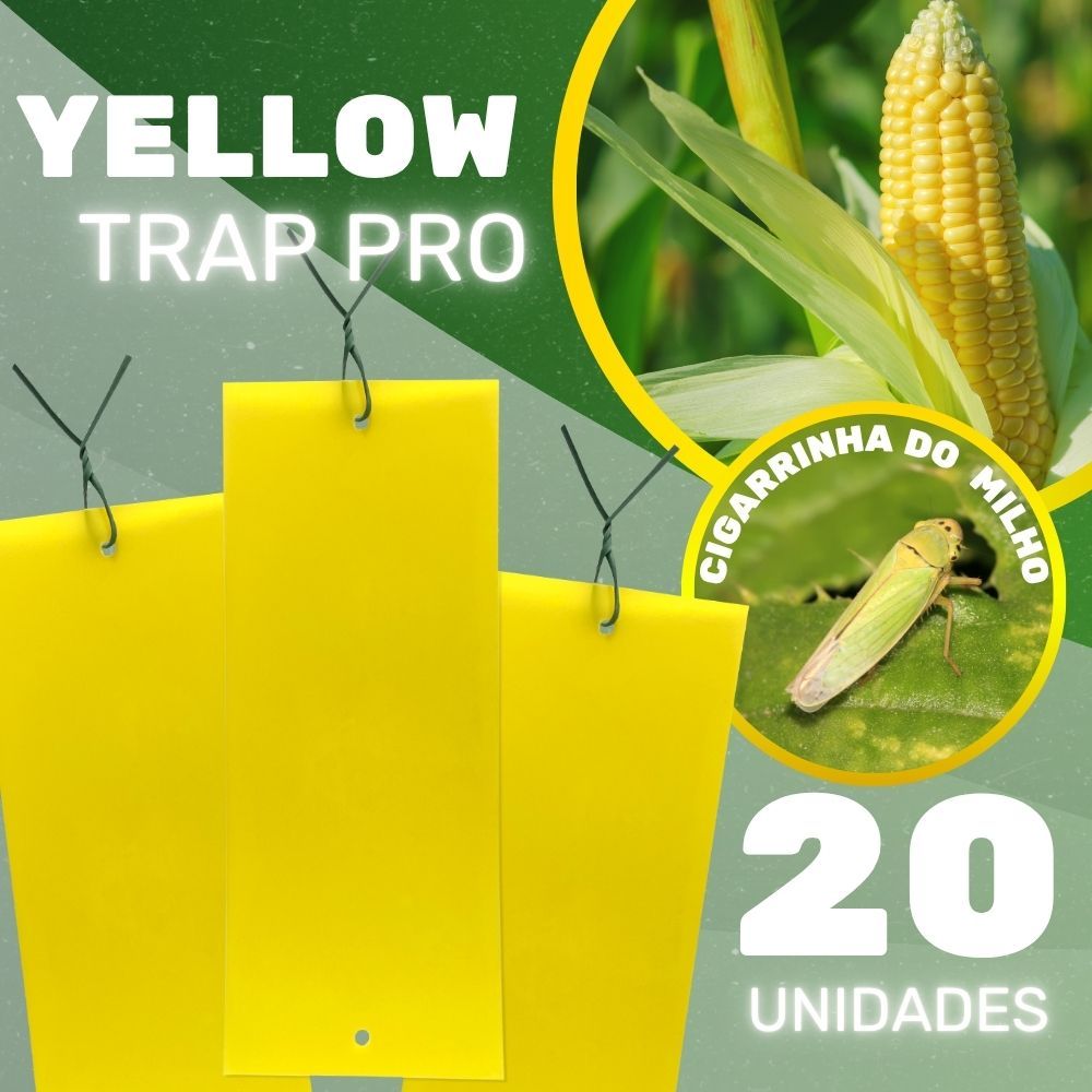 Kit 20un Placa Amarela de Monitoramento para Mosca Branca e Pulgão - ColeAgro