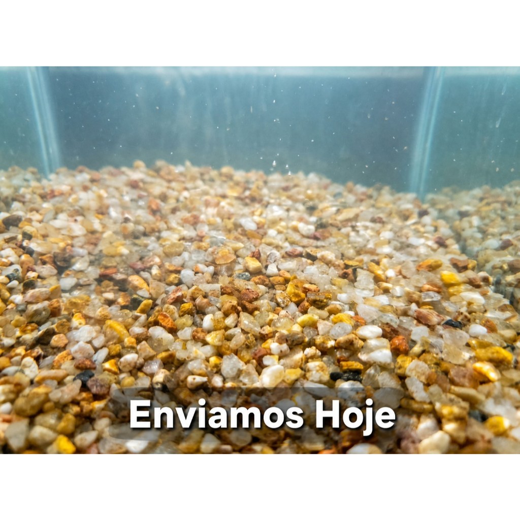 Cascalho de Rio Para Aquário Natural 1 kg 2 kg 3 kg 4 kg 5 kg