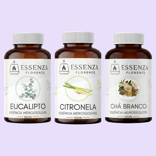 Kit 3 Essências Hidrossolúveis 100ml 12 Fragrâncias Disponíveis