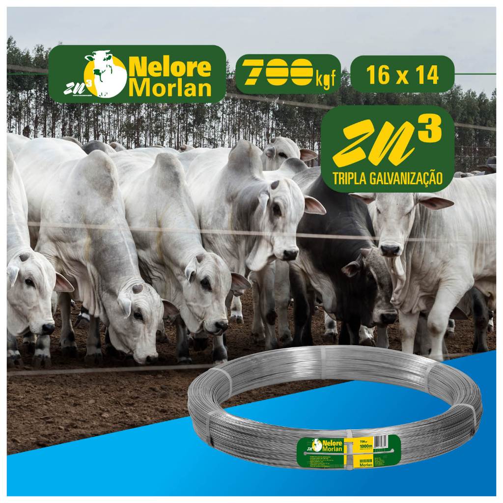 Arame Ovalado Nelore PG 16 x 14 700Kgf 1000m