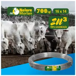 Arame Ovalado Nelore PG 16 x 14 700Kgf 1000m