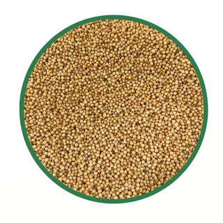 Mostarda Amarela em Grãos 1Kg