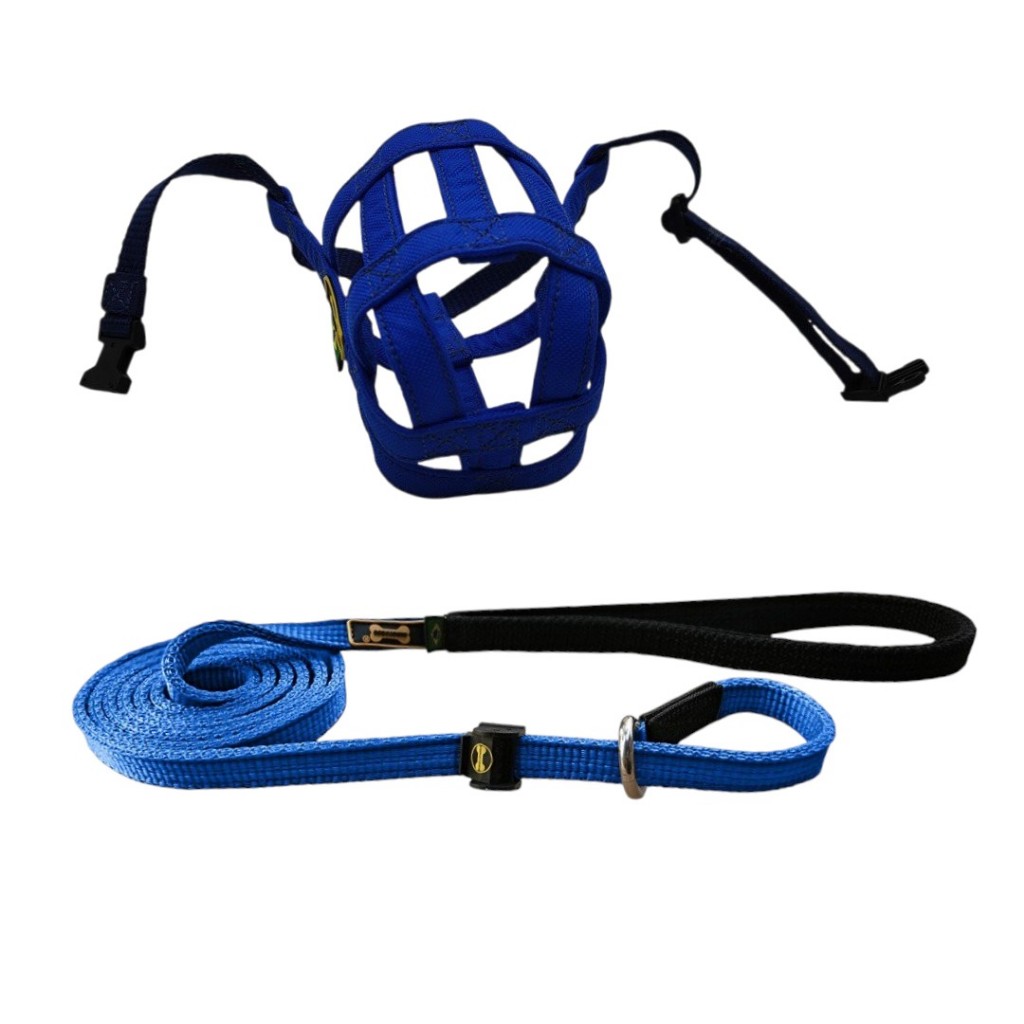 Guia Unificada Azul Focinheira Proteção Adestramento Resistente Cachorro Grande Porte Pitbull Fila