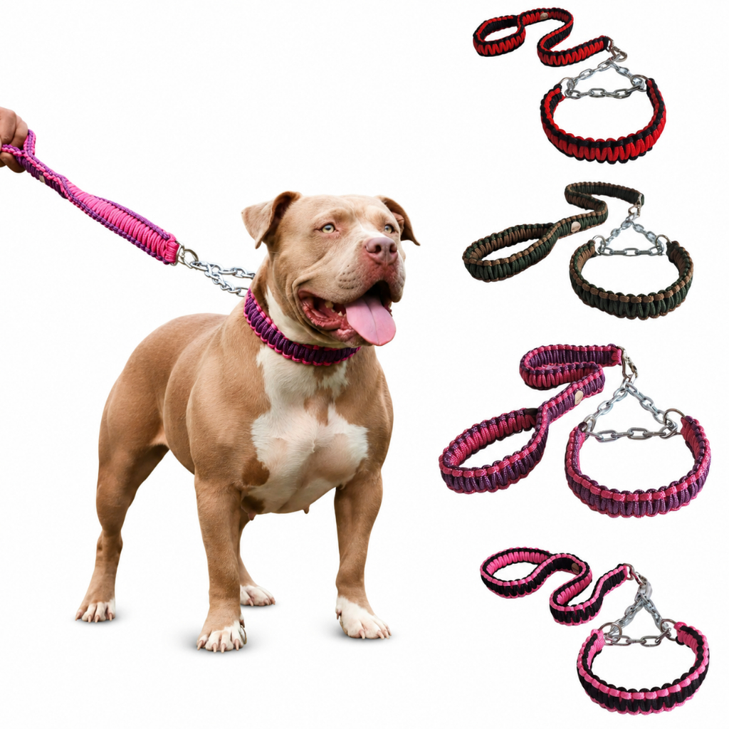 Guia Coleira com Corrente Cães Grande Porte Pitbull American Bully Todas as Raças