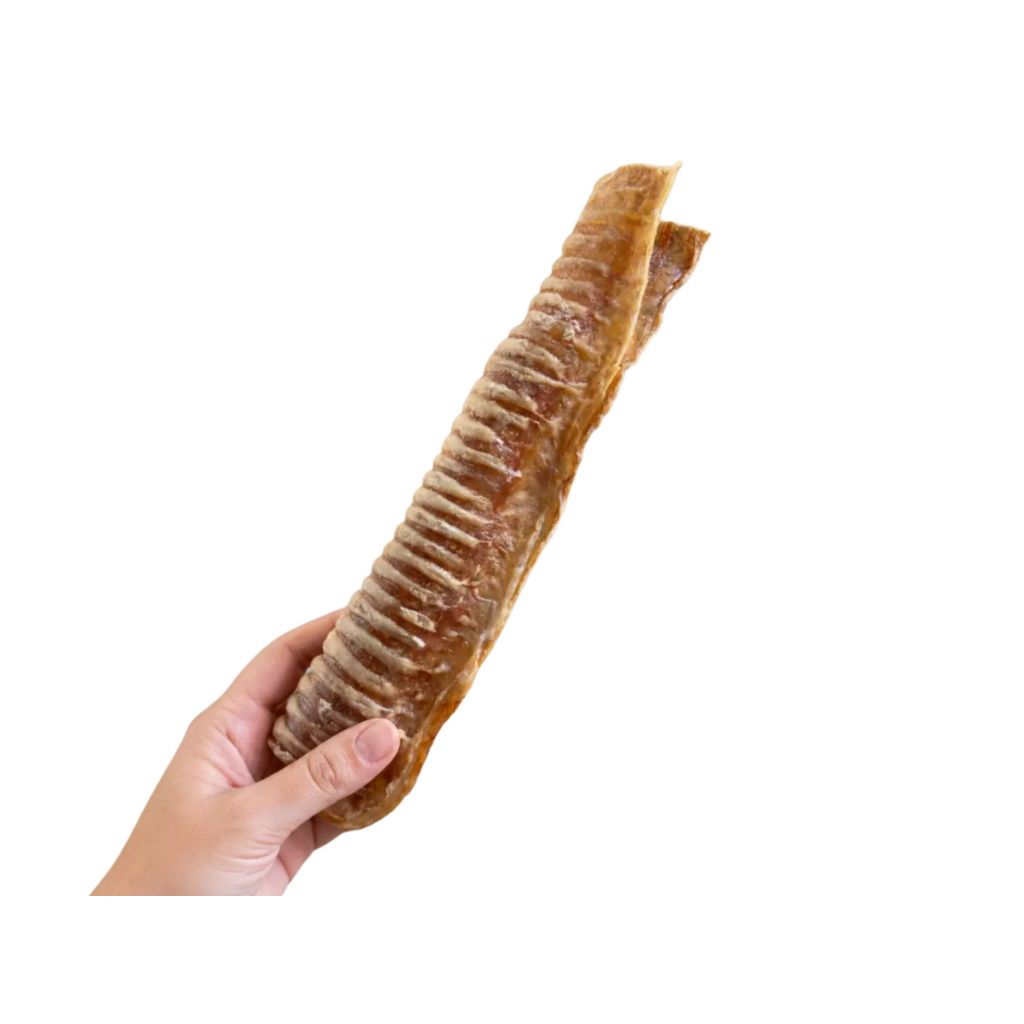 Traqueia Bovina Desidratada Lecker Petiscos G – Mastigável Natural para Cães, Fonte de Condroitina, 1 Unidade, Sem Conse