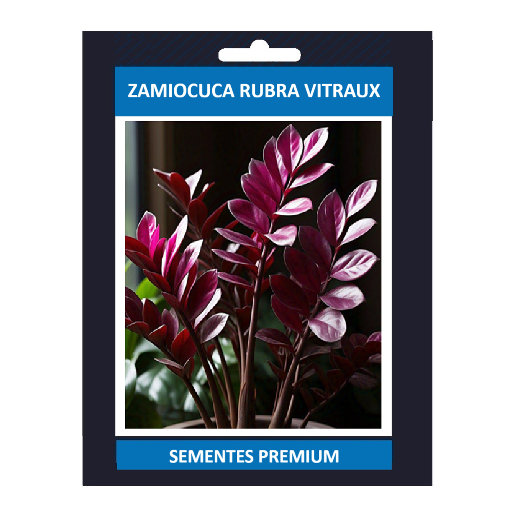 PROMOÇÃO ENVIO SUPER RÁPIDO 100 Sementes de Zamiocuca Rubra Vitraux Com Manual de Plantio III T1