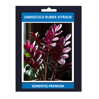 PROMOÇÃO ENVIO SUPER RÁPIDO 100 Sementes de Zamiocuca Rubra Vitraux Com Manual de Plantio III T1