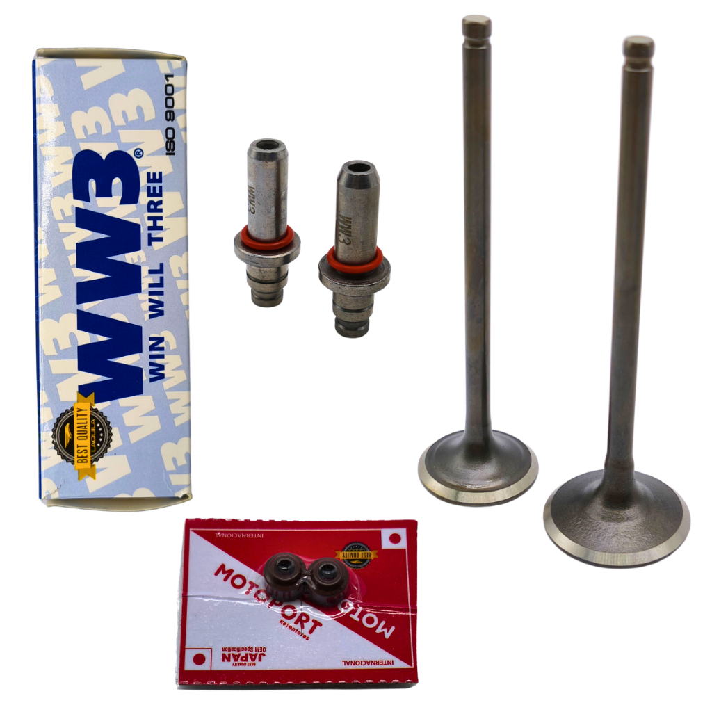 Kit Valvula Admissao Escape + Guia + Retentor Cg 125 Titan Fan 2002 a 2008 OHC Vareta - WW3
