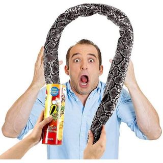 Brinquedo Pegadinha Susto Cobra no Pacote Surpresa Trollagem
