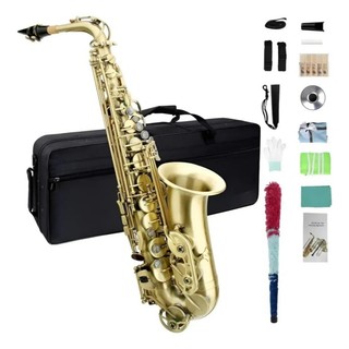 Saxofone Alto Eb Si Bemol Profissional Instrumento Musical de Sopro em Latão com Estojo Rígido e Acessórios