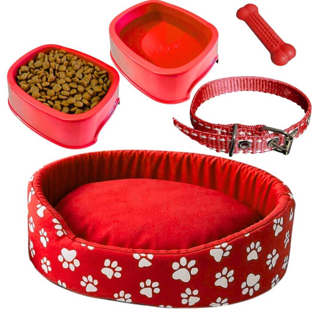 Kit Para Cachorro Luxuoso Coleira Para Cachorro Cama Pet Pequeno