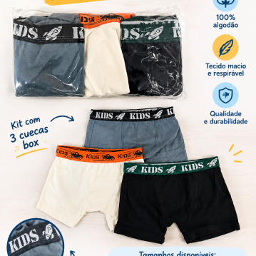 Kit 3 Cuecas Box Infantil Menino 100% Algodão Cor Sortida