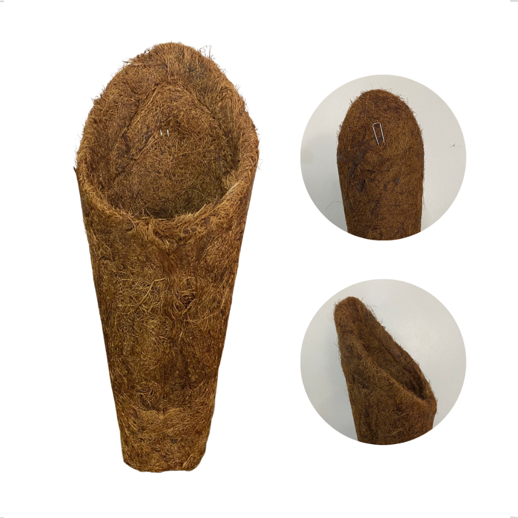 Mini Vaso Concha Cone Orquídeas Parede Fibra Coco PP Pendurar Ecológica Jardim 13x4,5cm Orquídea — imagem 2 de 2