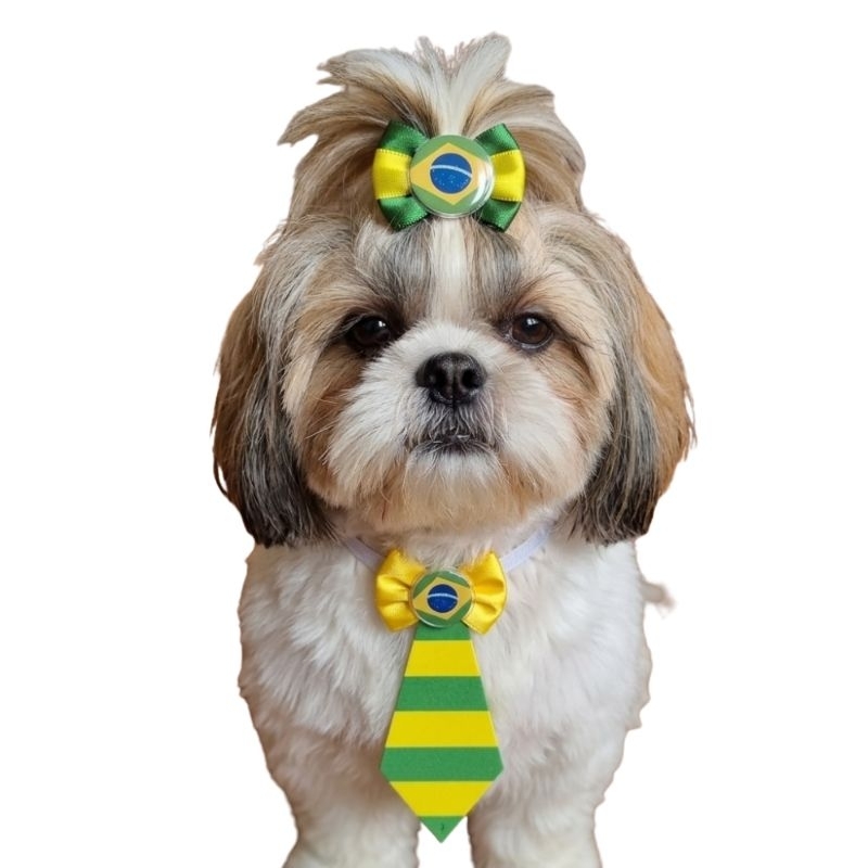 Conjunto Gravata e Laço Pet Brasil Copa do Mundo