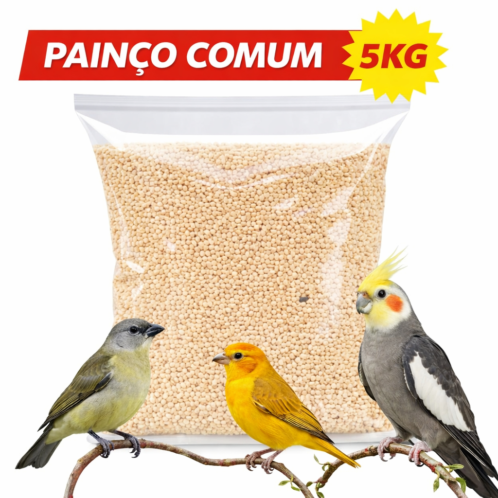 Painço Comum à granel 5kg - Passaro  Calopsita Coleiro Periquito em Oferta na Shopee