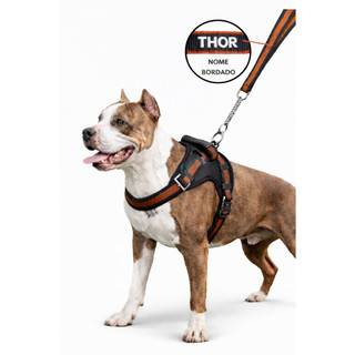 Coleira pra cachorro peitoral colocamos nome Pitbull Golden Fila com guia anti puxão forr…
